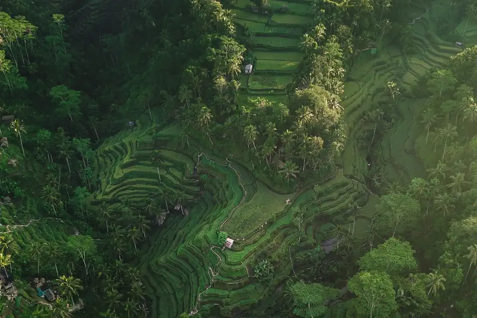 Bali — new Juniper Tours destination