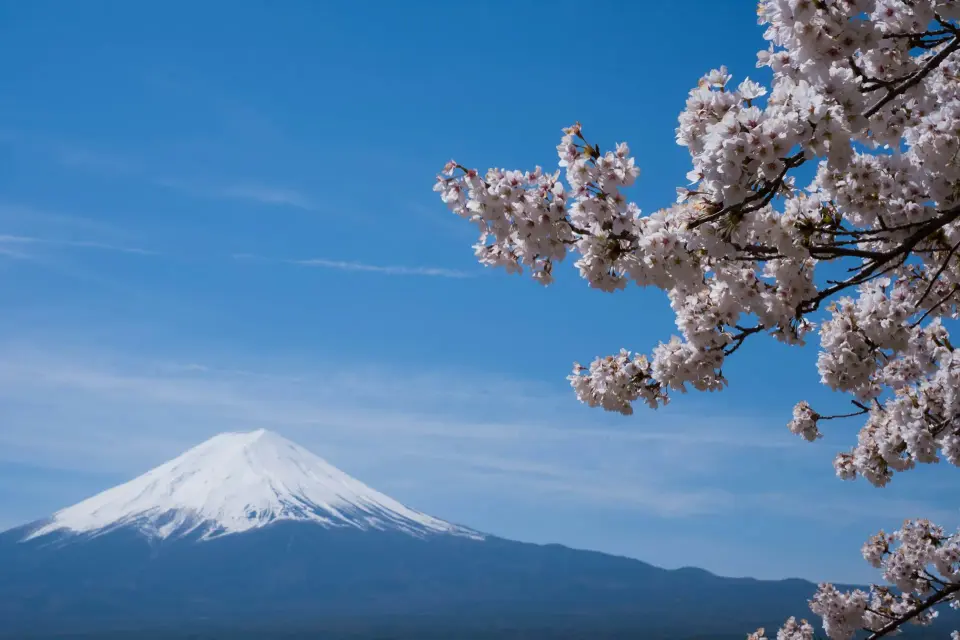 Japan — new Juniper Tours destination